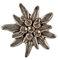 Alpenflüstern Ansteck-Pin Strass-Edelweiss klein antik-Silber-Farben API106