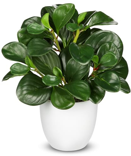 Hollyone Planta Artificial en Maceta pequeña Plantas Artificiales Verdes Peperomia Artificial Plantas Decorativas como Reales Planta Artificial Bonsái para salón Dormitorio Repisa de Ventana