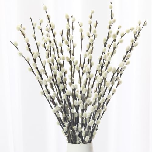 20 STK Konservierte weiße Weidenkätzchen, 43 cm für Hochzeit & Osterdeko | Konservierte echte Zweige, natürliche Wohndeko, Vase, Bauernhaus, Kamin, Osterdekoration, langlebige Frische