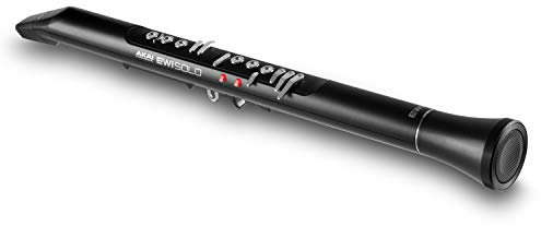 AKAI Professional EWI Solo - Electronic Wind Instrument With Built-in Speaker, Rechargeable Battery, 200 Sounds and USB MIDI Connectivity, Black