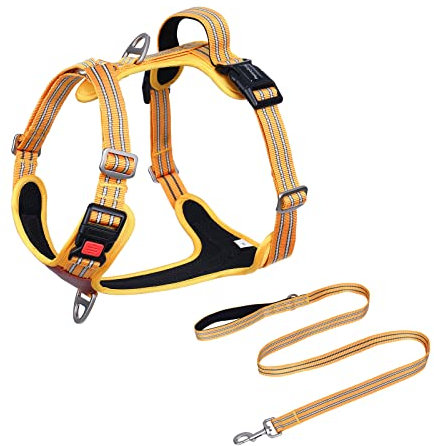 Petmolico Sport-Hundegeschirr und Leine, kein Ziehen, Metallclips, strapazierfähig, Hundegeschirr zum Wandern, Laufen, Spazierengehen, Outdoor-Abenteuer, Gelb Medium