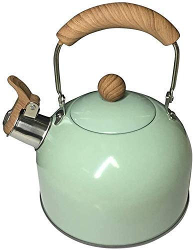 ANIFM Hervidor de Agua con Gas de Menta Verde para té, hervidor de silbido de vitrocerámica, Acero Inoxidable, hervidor eléctrico de ebullición rápida de Velocidad Comfortable Anniversary