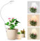 Pflanzenlampe LED Vollspektrum, Pot Clip 6500K Grow Light, zwei Installationsoptionen Pflanzenlicht, 3 Farbtemperatur LED Grow Lampe mit 360° Schwanenhals, 6/12/16H Timer, 5 Helligkeit (Weiß 1 Stück)
