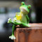 boluoboluomi Mini-Frosch Topfpflanzen Dekorationen, lustige Frosch Garten Dekorationen, Outdoor-Geschenke, Frauen Frosch Statuen, Pflanzer, Terrasse, Rasen Dekorationen (03)