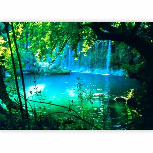 murando - Papier peint PREMIUM 150x105 cm - Revêtement mural chambre salon - Décoration murale design moderne - Arbres pierre nature paysage rivière türkiye eau cascade c-B-0132-a-a
