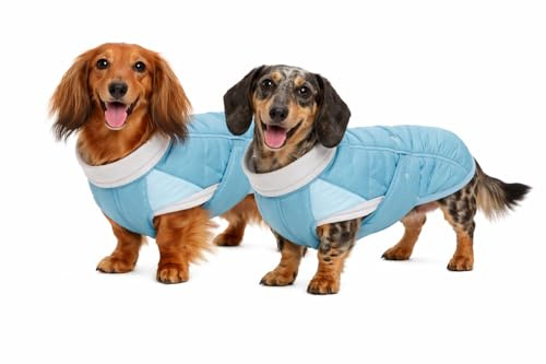 Spirit Softshell Hundemantel Pacific – Warmer, wasserabweisender Wintermantel für Hunde mit Fleece-Futter, reflektierend, verstellbar, Leinenöffnung, türkis (35cm)
