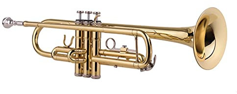 Trompete Standard BB Messing Trompete Woowind Instrument Trompete Mit Mundstück Tragetasche Handschuhe Reinigung Tuch Tuner