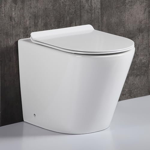 Robanmoa Rimless BTW Back to Wall Toilet White Ceramic WC Pan Quick Release Soft Close Seat in-Wall Concealed Cistern Short Projection Pan Modern Compact Bathroom Toilets