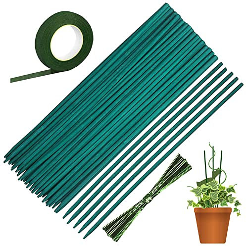 50 Pièces Tuteurs pour Plantes Vertes Bâtonnets de Soutien Tiges de Support Bambou avec 30 Yard Ruban de Papier et 50 Attaches Végétales Tuteur pour Plantes Grimpantes Bâton de Plante (15in / 38 cm)