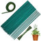 50 Pièces Tuteurs pour Plantes Vertes Bâtonnets de Soutien Tiges de Support Bambou avec 30 Yard Ruban de Papier et 50 Attaches Végétales Tuteur pour Plantes ​Grimpantes Bâton de Plante (15in / 38 cm)