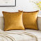 MIULEE 2er Set Samt Kissenbezug Flansch Kissenhülle Dekorative Sofakissen Dekokissen Umwickelte Kante Kissenbezüge Zierkissenbezug für Sofa Wohnzimmer Schlafzimmer 40x40 cm Champagner Golden