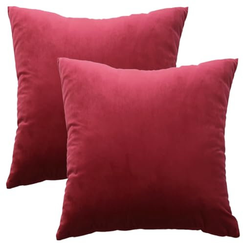 GONOVE Kissenbezug 55x55cm Dekorative Wurf Kissenbezug 2er Set Samt Weiche Kissenbezüge Dekokissenbezug Sofakissen Couchkissen Kissenhülle für Wohnzimmer Sofa Schlafzimmer