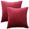 GONOVE Kissenbezug 55x55cm Dekorative Wurf Kissenbezug 2er Set Samt Weiche Kissenbezüge Dekokissenbezug Sofakissen Couchkissen Kissenhülle für Wohnzimmer Sofa Schlafzimmer