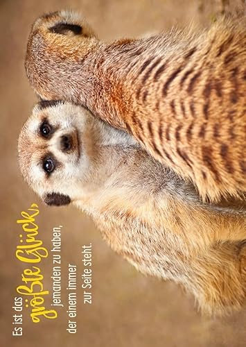 Gutsch Verlag Tier-Postkarte mit niedlichen Erdmännchen - Es ist das größte Glück, jemanden zu haben, der einem immer zur Seite steht - Perfekt für Tierliebhaber und besondere Anlässe