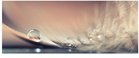 Glasbild Wandbild Glas Kunstdruck Story of a Waterdrop 40 cm x 100 cm