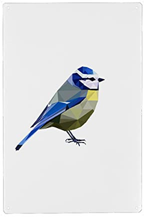 artboxONE Metall-Poster 40x60 cm Natur Blaumeise - Meise heimischer Vogel von Künstler FjöllArt