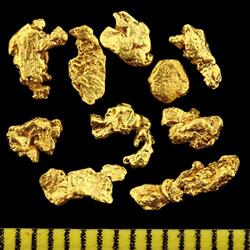 10 Stück echte XL Premium Goldnuggets aus Alaska mit 2-5 mm inkl. Echtheitszertifikat Super Geschenk