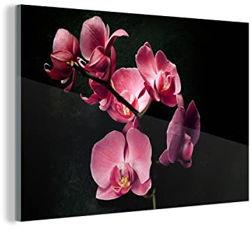 MuchoWow Glasbild Glasfoto Wandbild Bilder Deko 30x20 cm Pflanzen - Orchidee - Blumen - Rosa