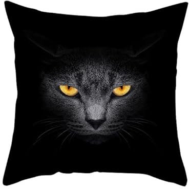 EHOMERY Kissenbezüge Junge Kissenbezug Set Bunt Polyester Kissenbezüge XXL Kissenbezug Set Sommer Die Katze Zierkissenbezüge Sofadekoration Schwarz 40x40cm