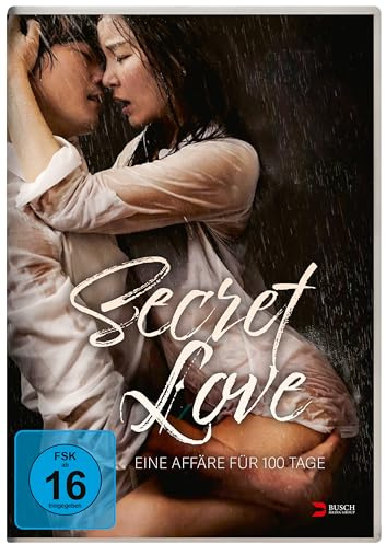 Secret Love - eine Affäre für 100 Tage