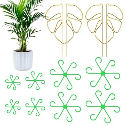 14 Pezzi Supporto per Steli di Piante Rampicanti Sostegno Piante Monstera Pali di Supporto per Piantes per Pomodoro Rose Vite Piante Rampicanti Fiore