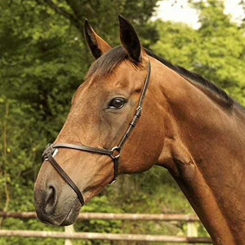 Mackey Classic Grackle Noseband Black Cob