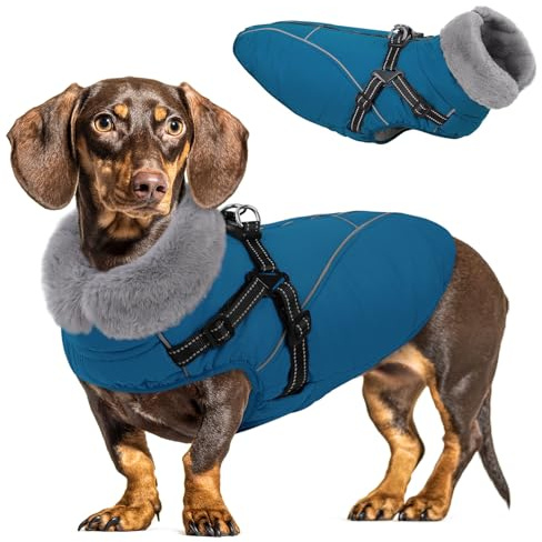 Queenmore Hundejacke Kleine Hunde Winter, Hundemantel Reflektierend | Wasserdicht, Hunde Fleecemantel für Dackel/Cockapoo/Spielzeugpudel/Welpen Bei Regen, Schnee & Eisregen (Coelinblau, S)