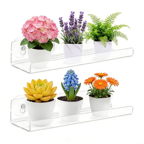2-Pack 12 Inch Acrylic Window Plant Shelves with Suction Cups, Clear Floating for Indoor Herbs and Succulents, Space-Saving Wall Organizer for Kitchen Bathroom