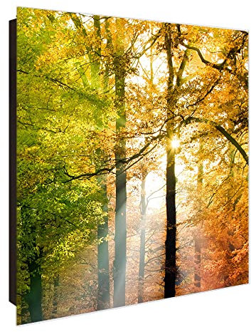 banjado® Großer Schlüsselkasten Glas/Schlüsselbox 30cm x 30cm mit 50 Haken - Motiv Herbstwald/Schlüsselkasten modern für Schlüsselaufbewahrung mit beschreibbarer, magnetischer Glastür