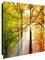 banjado® Großer Schlüsselkasten Glas/Schlüsselbox 30cm x 30cm mit 50 Haken - Motiv Herbstwald/Schlüsselkasten modern für Schlüsselaufbewahrung mit beschreibbarer, magnetischer Glastür
