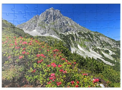 MyPuzzle Blühende Alpenrosen bei der Coburger Hütte, Tirol, Österreich - Premium 100 Teile Puzzle - MyPuzzle Sonderkollektion von Puzzle Galaxy