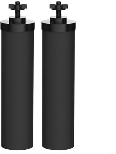 BlissfulAbode Lot de 2 cartouches filtrantes à charbon actif de rechange pour filtres à eau potable en acier inoxydable alimenté par gravité Certifié NSF