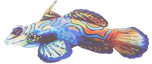 SHINEOFI Decoración de Pared de Pescado de Hierro Forjado Adorno para Jardín y Exterior Escultura de Pared para Área de Piscina Decoración Temática Marina para Hogar y Cafeterías