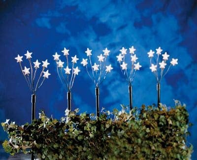 hellum LED Sterne außen, Spieße mit Sternen, Weihnachtsdeko outdoor, Sterne Ø 4cm, schwarz, 30 LED, warm-weiß, 48cm Erdspieße, Garten, Terrasse, Balkon, IP 44 Transformator, 530155