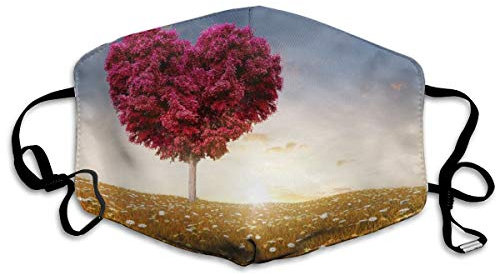 Frontstoßstange Nebelscheinwerfer Lampengitter passend für BMW F700GS F750GS F800GS K 1300 R R 1200 GS LC Adv Shi Autozubehör Nebelscheinwerfer Zubehör.,C-1 Pair