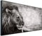 Ecowelle Infrarotheizung mit Bild | 750 Watt | 60x120 cm | Infrarot Heizung| | Made in Germany| b 66 Löwe