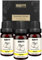 BRUBAKER Cosmetics 3er-Set Lemon Öl - Konzentration, gute Laune & Lebensfreude - Ätherische Öle Aromatherapie Geschenkset 3 x 10 ml Zitrusöl Vegan