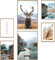 MUUDLY® Poster Set Natur – 6 moderne Wandbilder mit Hirsch & Pragser Wildsee (2×A3, 4×A4) – Stilvolle Bilder fürs Wohnzimmer, Schlafzimmer, Büro, Flur – Natürliche Deko ohne Rahmen