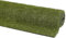 andiamo Kunstrasen Evergreen strapazierfähig robust und pflegeleicht - geeignet für Indoor und den überdachten Außenbereich mit 18mm Polhöhe 100 x 200 cm grün