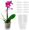 Orssmigs 10 Stück Orchideentopf Transparent Ø11,5cm x Höhe 11cm Kunststoff Pflanztöpfe Orchideen übertopf Atmungsaktiver Geschlitzter Blumentopf mit Drainageloch/Untersetzer für Indoor Outdoor Balkon