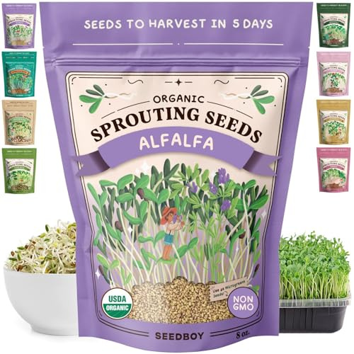 Seedboy Semi di erba medica biologici non OGM per germogliare – Semi di germogliazione Microgreens – Sacchetto da 226,8 g per 24 porzioni (erba medica)