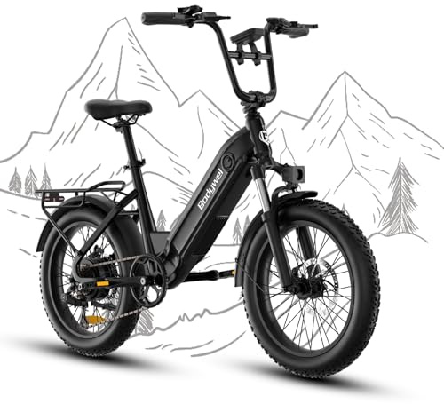 Bodywel F20 Bicicleta Eléctrica, 20x3.0 Fat Bike Todo Terreno Bici Electrica Adultos, 250W 48V 15Ah Batería Extraíble, 7 Velocidades, Horquilla de Suspensión, Montaña E-Bike Pantalla LCD/App