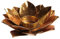 Teelichthalter Lotus Gold