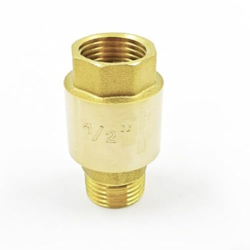 BlissfulAbode Brass Check Valve G Thread Inline Check Valve Prevent Backflow Water Pump Protection DN15-DN25 Hose Connector(1/2-110g inner)