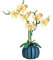 DelightCube Kit de construcción de flores de orquídea, juego de construcción de bonsái de orquídea para decoración del hogar, colección botánica en orquídea blanca y amarilla, para adultos y niños,
