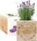 Amikado - Ecocubo Gracias Maestra Grabado - Plantas en cubo de Madera - 100% Ecológico - idea de regalo sostenible - (Lavanda)