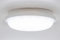Illuminatio 20W Bulkhead LED Ceiling Light For Indoor and Outdoor Use, IP65 Waterproof Bathroom Light, 6500K Cool White Flush Ceiling Light For Kitchen, Balcony, 1800lm Surface Mounted LED Wall Lights