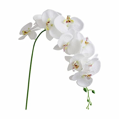Fiori di orchidea farfalla finta, 1 pezzo, fiori di seta a doppio ramo per matrimoni, casa, ufficio, feste, hotel, cortile, arredamento festivo, decorazioni per matrimoni per auto (bianco, taglia