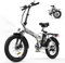 ELEKGO E Bike 20 Fette Reifen 3.0 Elektrofahrrad 36V12Ah Batterie Faltrad, 7 Geschwindigkeiten Getriebe Stadtfahrrad, 250W Motor Mountainbike für Erwachsene