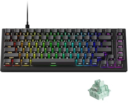 Akko TAC75 Rapid Trigger Gaming-Tastatur, kabelgebunden, Hall-Effekt-Magnetschalter, 75% US-Layout, 8.000 Hz Abtastrate, PBT-Tastenkappen (Durchscheinendes Schwarz, Glare-Magnetschalter)